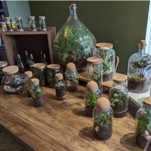 Custom Glass Terrariums